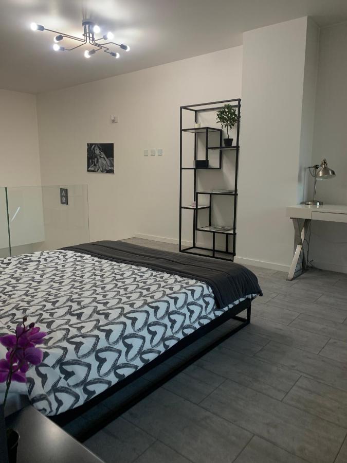 Ekskluzywny Penthouse Z Ogrodem W Centrum Lodzi Exteriör bild